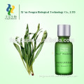 High Quality citronella essential oil,Liquid citronella oil suppliers